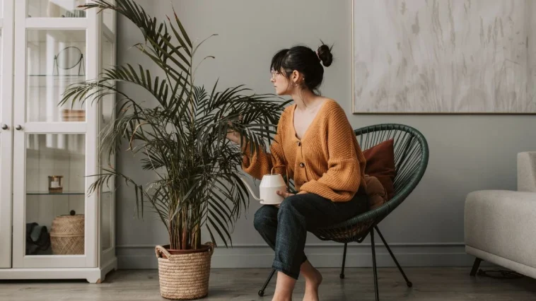 10 Best Preppy Cardigan Brands Every Wardrobe Needs